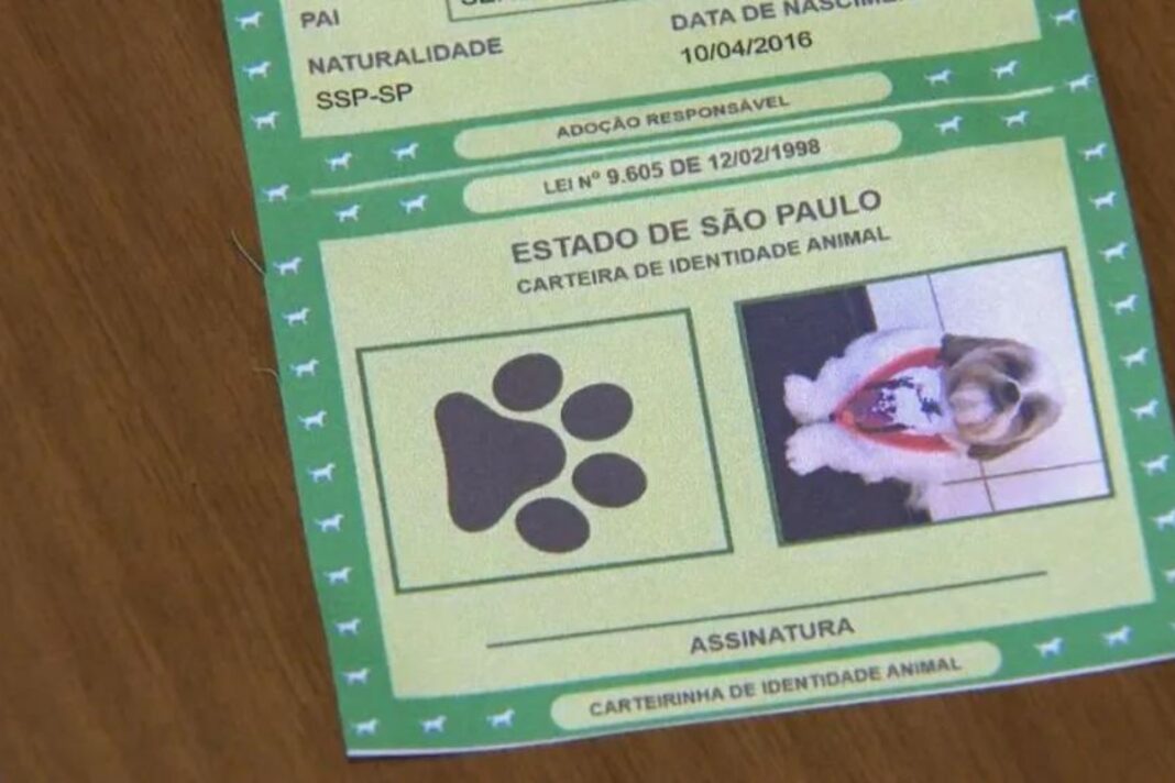 RG Pet: Araraquara agora terá documento de identificação para animais